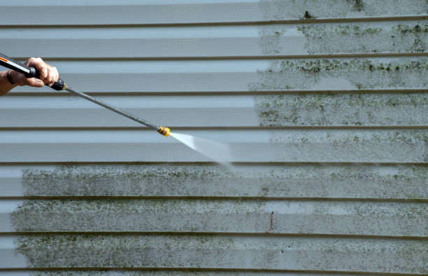 Best Commercial Mold Removal  in Bella Vista, AR